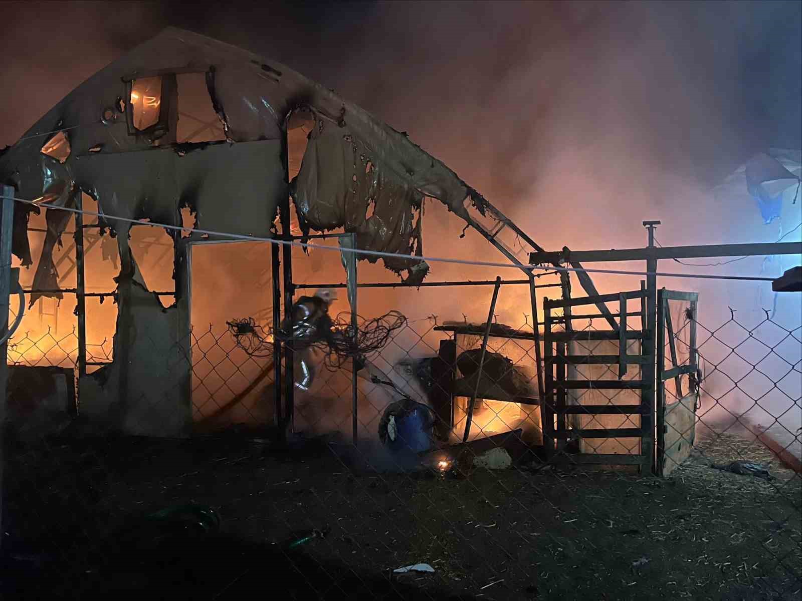 Bursa’da çiftlikte yangın: 580 kanatlı hayvan telef oldu
