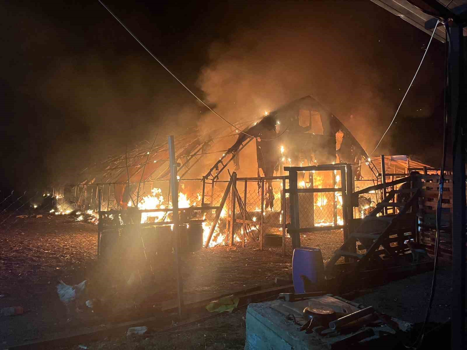 Bursa’da çiftlikte yangın: 580 kanatlı hayvan telef oldu
