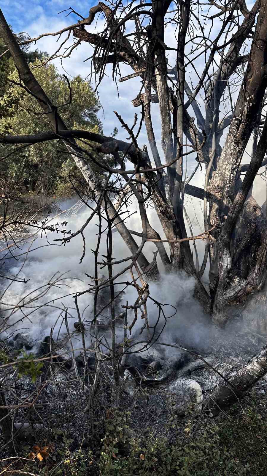 Bursa’da çıkan çalı yangını büyümeden söndürüldü
