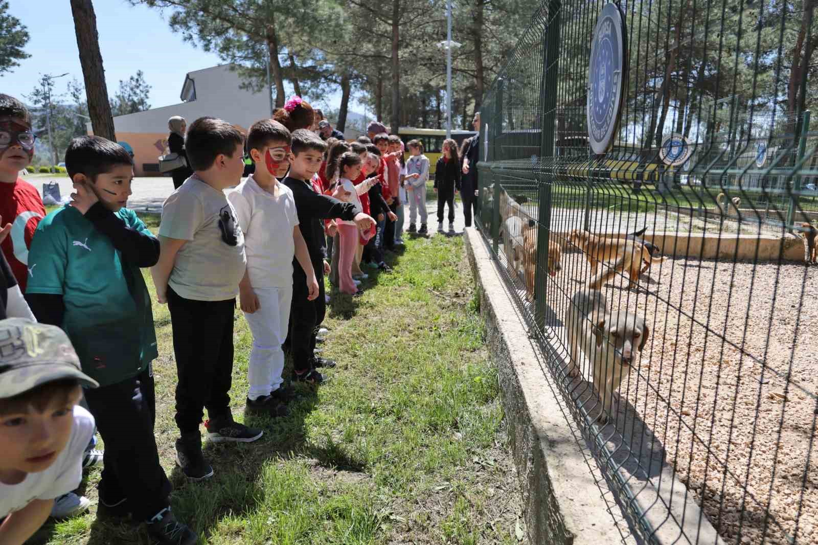 Bursa’da çocuklar patili dostlarla buluştu
