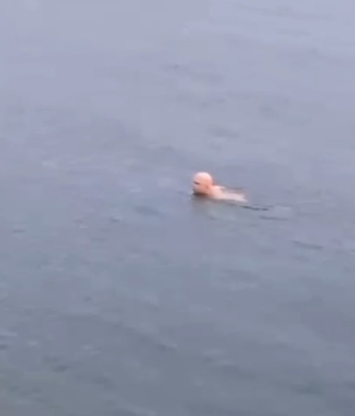 Bursa’da dondurucu soğukta deniz keyfi
