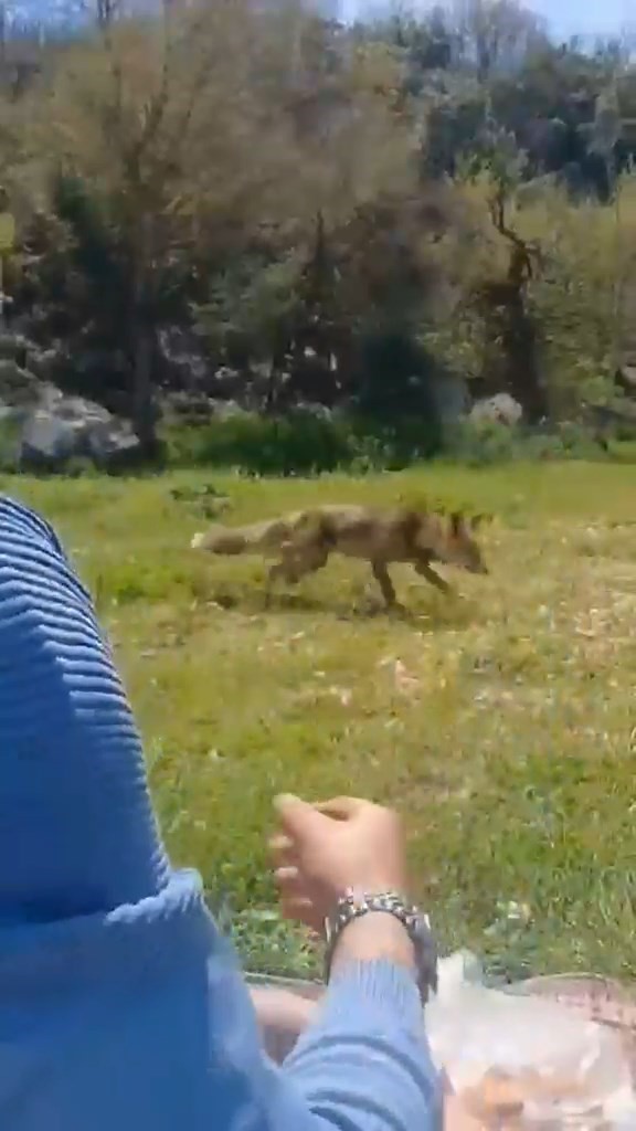 Bursa’da ilginç görüntüler
