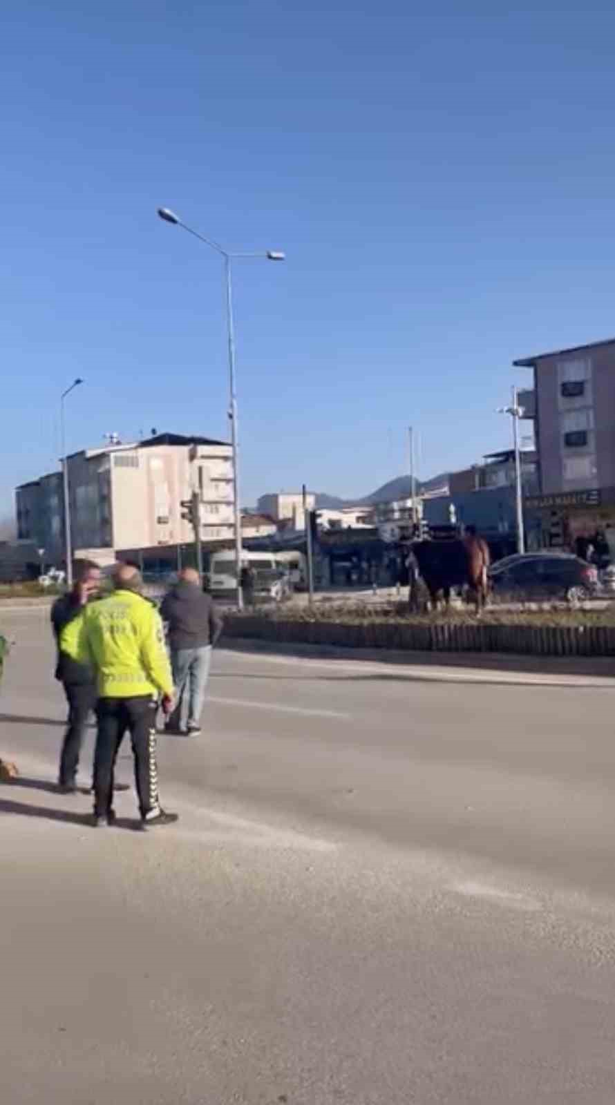 Bursa’da kaçan boğa trafiği karıştırdı, Ankara yolunda metrelerce koştu
