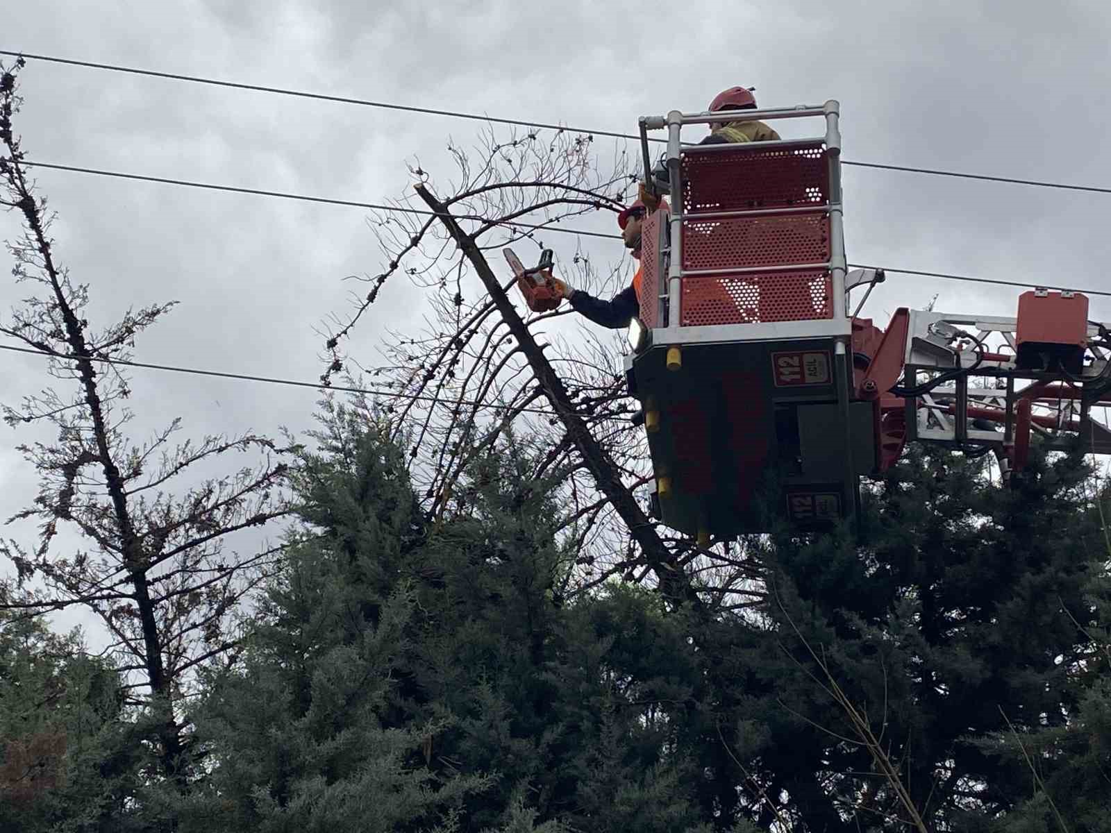 Bursa’da lodos ağacı devirdi, elektrik hatları zarar gördü
