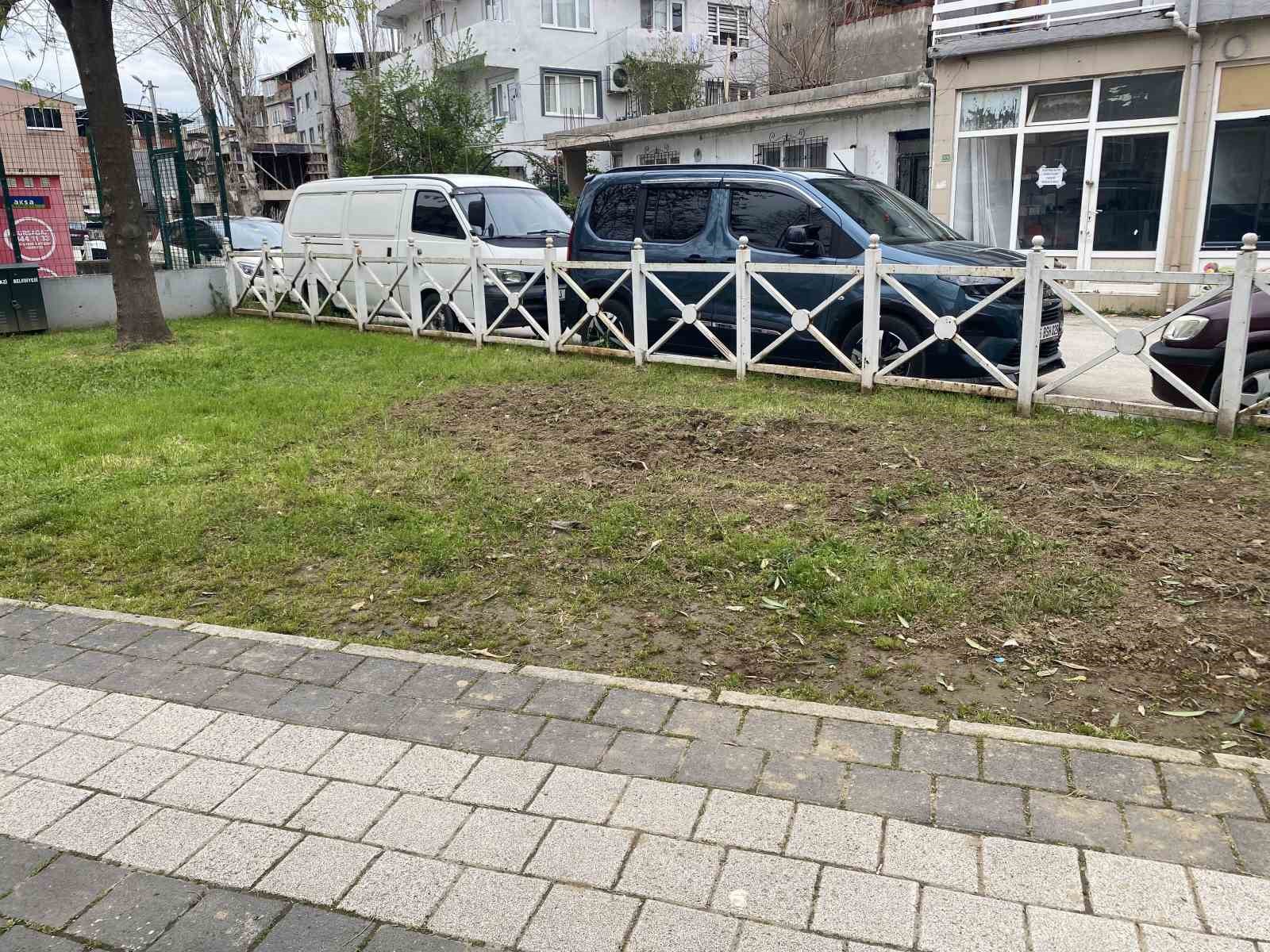 Bursa’da parkta toplanan bitki az kalsın faciaya yol açıyordu
