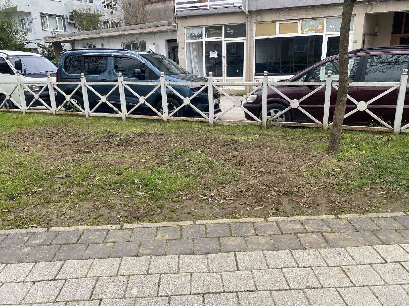 Bursa’da parkta toplanan bitki az kalsın faciaya yol açıyordu
