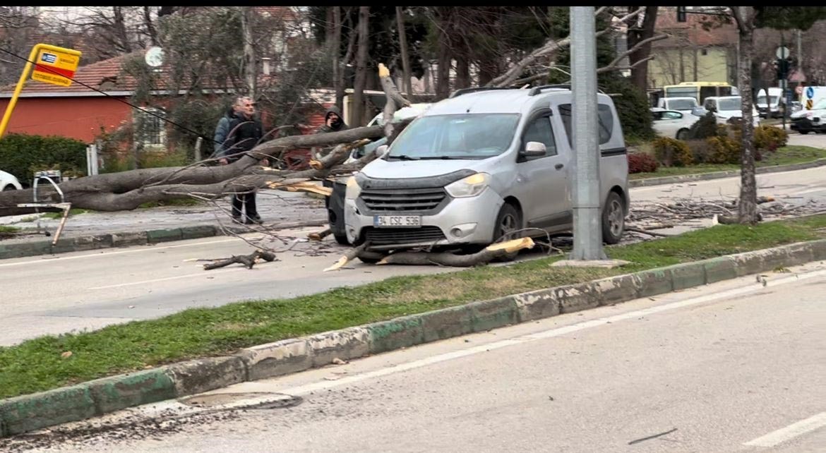 Bursa’da seyir halindeki araçların üzerine ağaç devrildi
