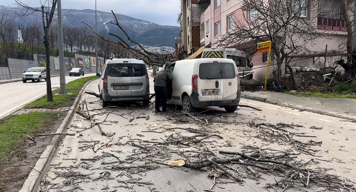 Bursa’da seyir halindeki araçların üzerine ağaç devrildi
