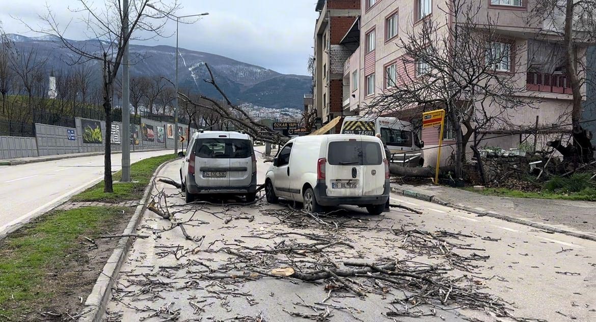 Bursa’da seyir halindeki araçların üzerine ağaç devrildi
