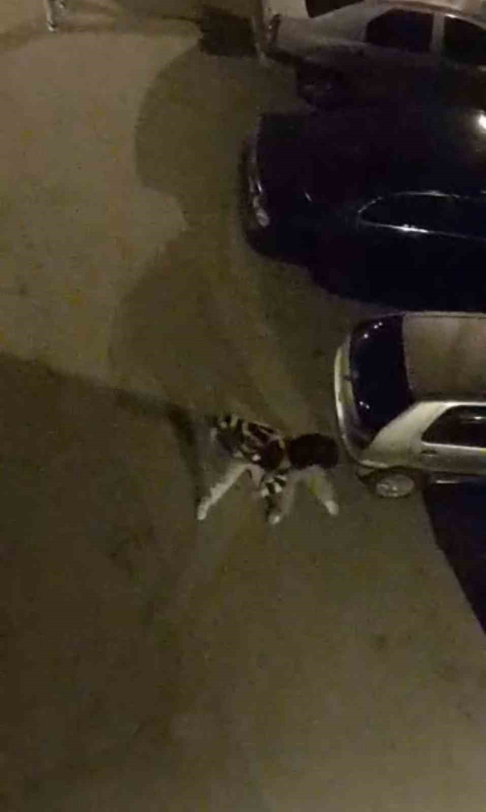 Bursa’da sokak ortasında boks ringlerini aratmayan kavga kamerada
