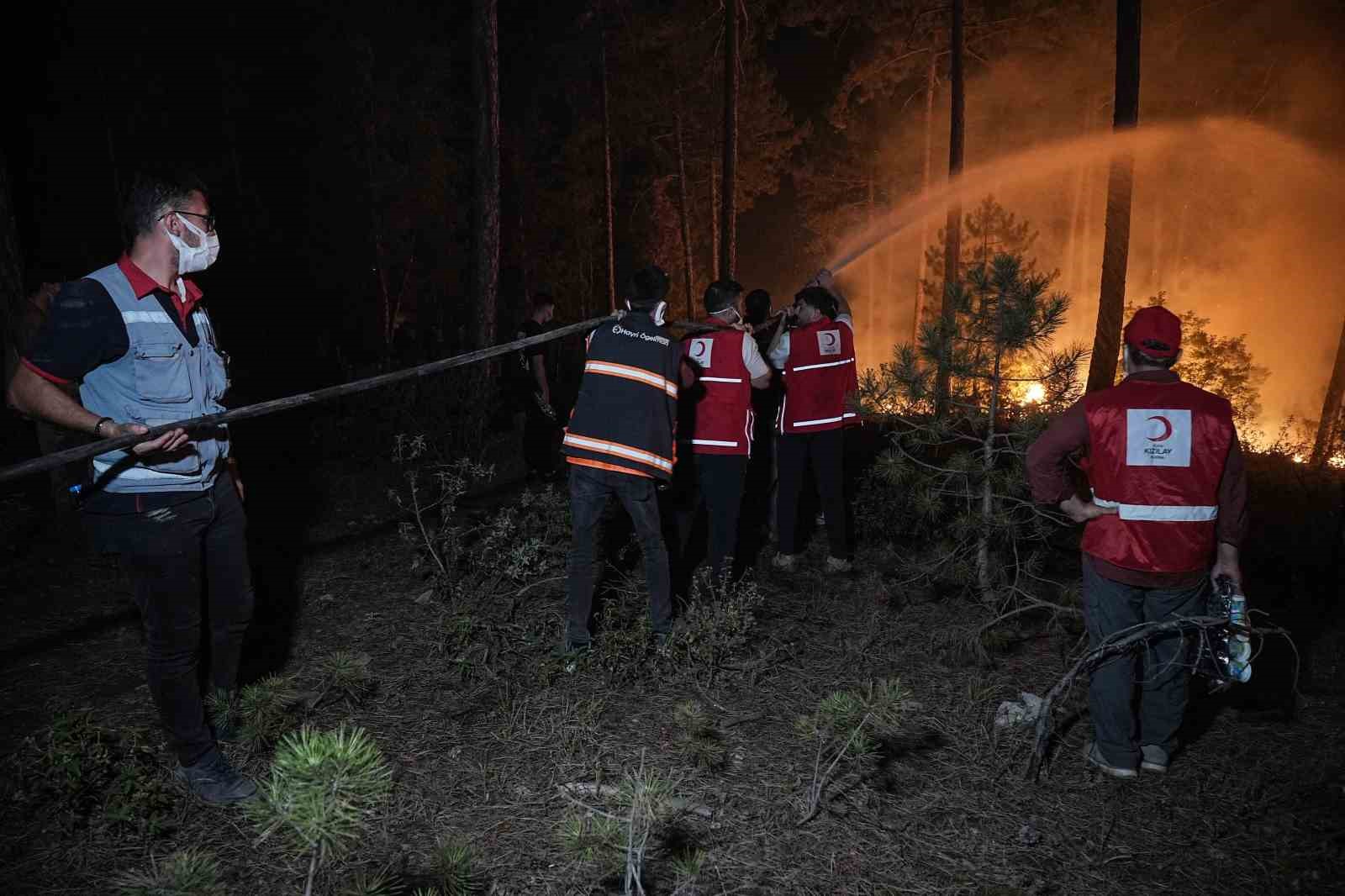 Bursa’da tarihin en büyük orman yangınında yaralar böyle sarıldı
