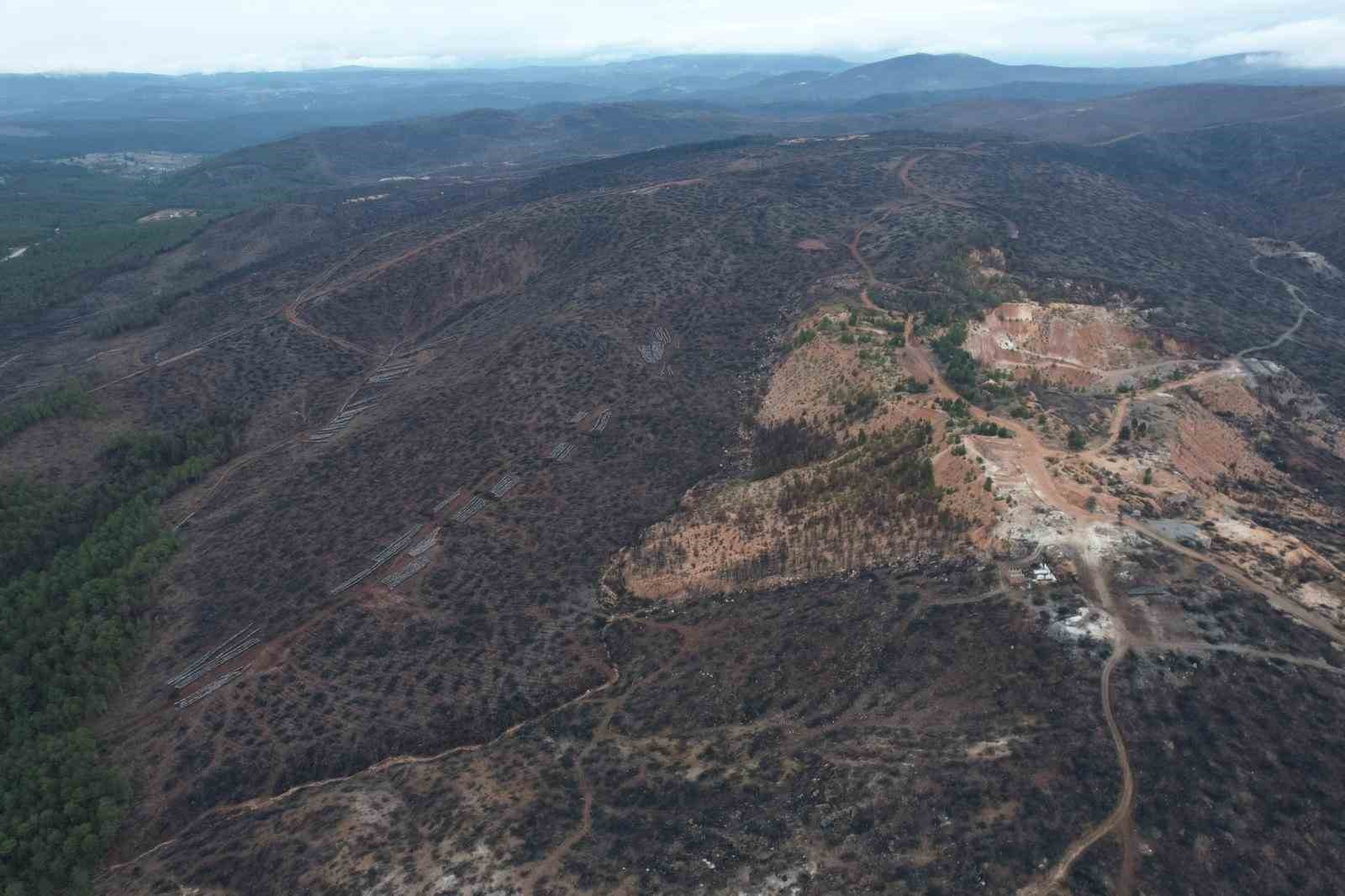 Bursa’da tarihin en büyük orman yangınında yaralar böyle sarıldı
