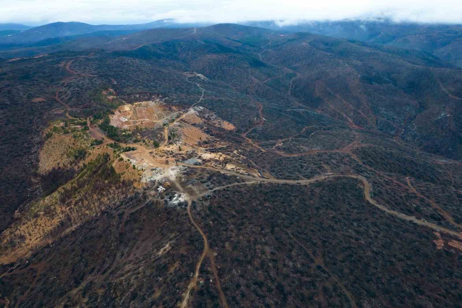 Bursa’da tarihin en büyük orman yangınında yaralar böyle sarıldı
