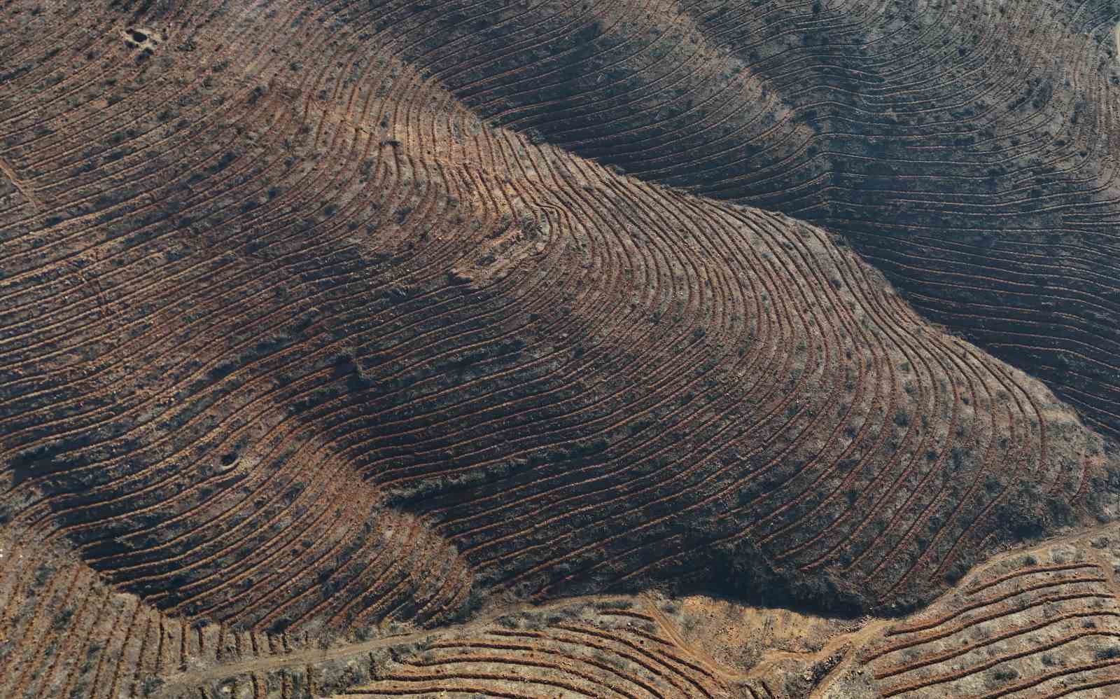 Bursa’da tarihin en büyük orman yangınında yaralar böyle sarıldı
