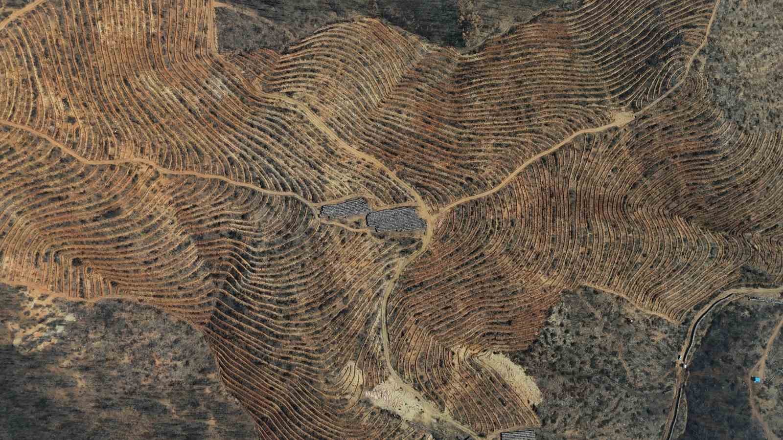 Bursa’da tarihin en büyük orman yangınında yaralar böyle sarıldı
