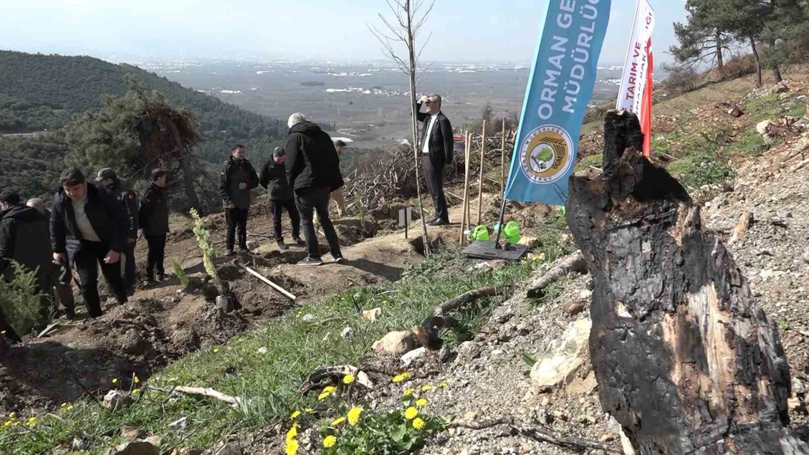Bursa’da yanan ormanlar 8 ayda ilmek ilmek işlendi, bölge yeniden can buldu
