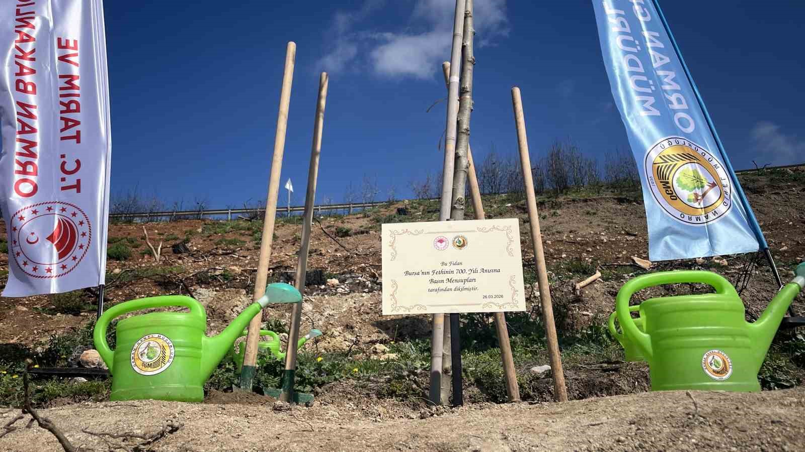 Bursa’da yanan ormanlar 8 ayda ilmek ilmek işlendi, bölge yeniden can buldu
