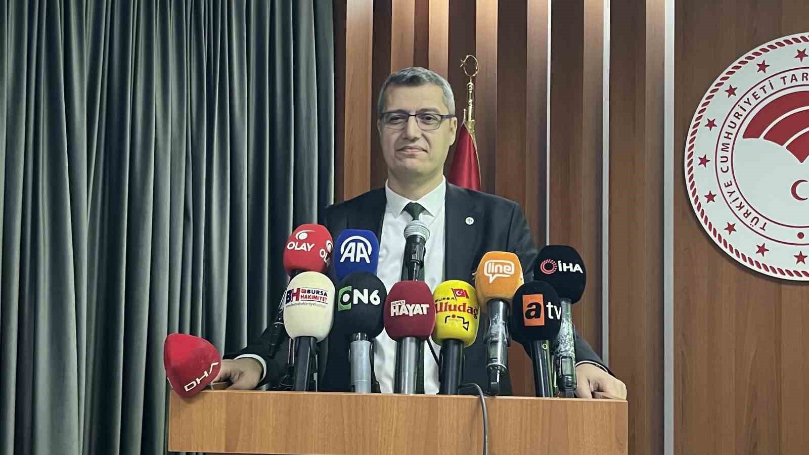 Bursa’da yanan ormanlar 8 ayda ilmek ilmek işlendi, bölge yeniden can buldu
