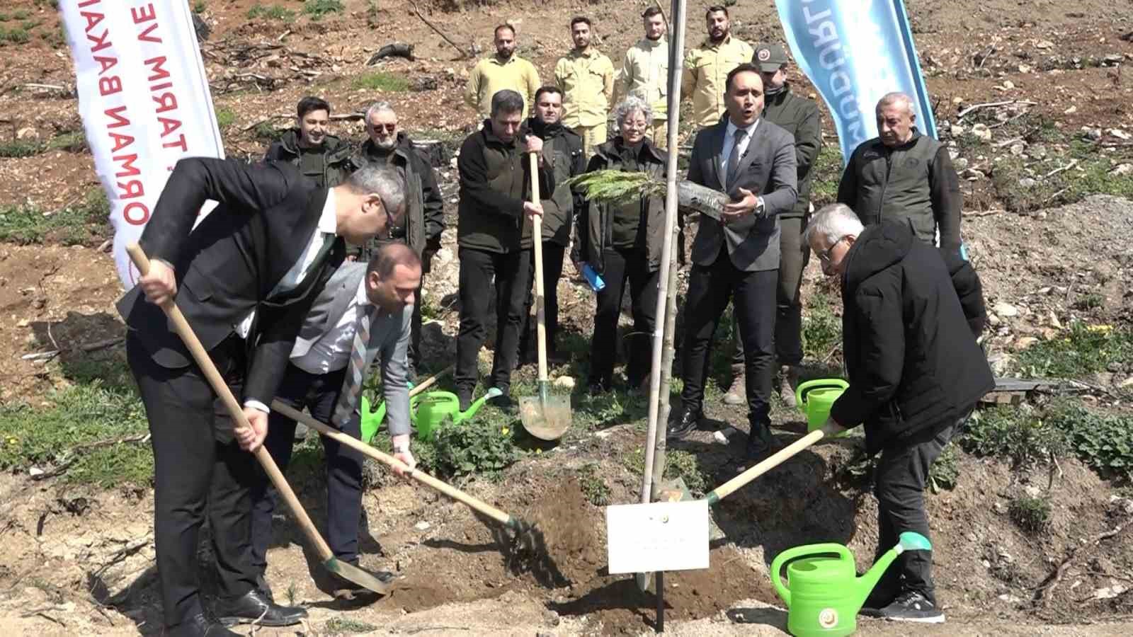 Bursa’da yanan ormanlar 8 ayda ilmek ilmek işlendi, bölge yeniden can buldu
