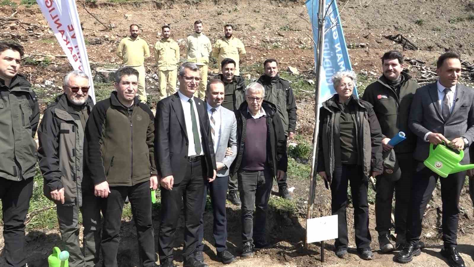 Bursa’da yanan ormanlar 8 ayda ilmek ilmek işlendi, bölge yeniden can buldu
