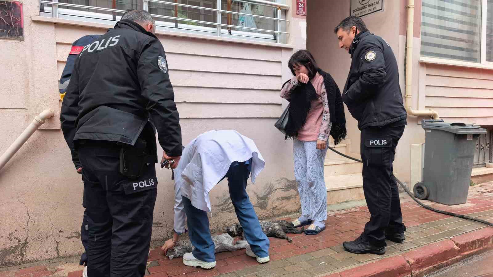 Bursa’da yangında can pazarı...Çocuklar tahliye edildi, kediler kurtarıldı
