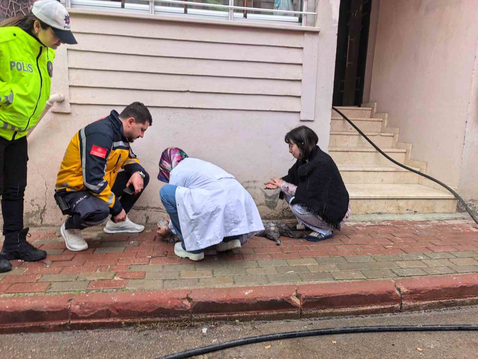 Bursa’da yangında can pazarı...Çocuklar tahliye edildi, kediler kurtarıldı
