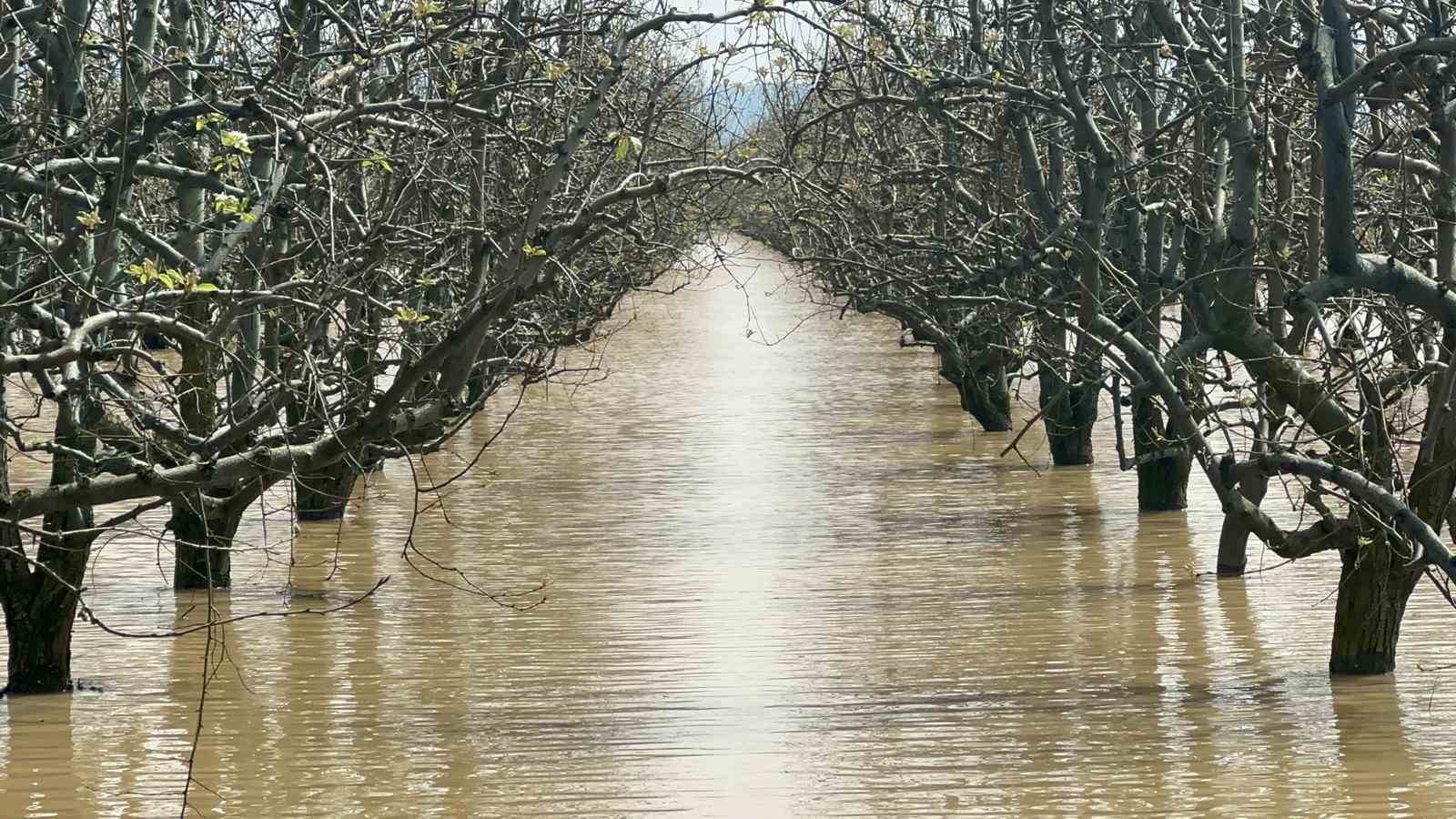 Bursa’da yüzlerce dönüm şeftali ve armut bahçesi su altında
