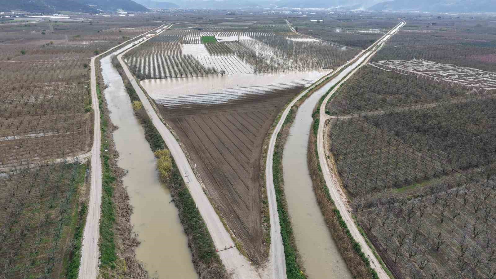 Bursa’da yüzlerce dönüm şeftali ve armut bahçesi su altında
