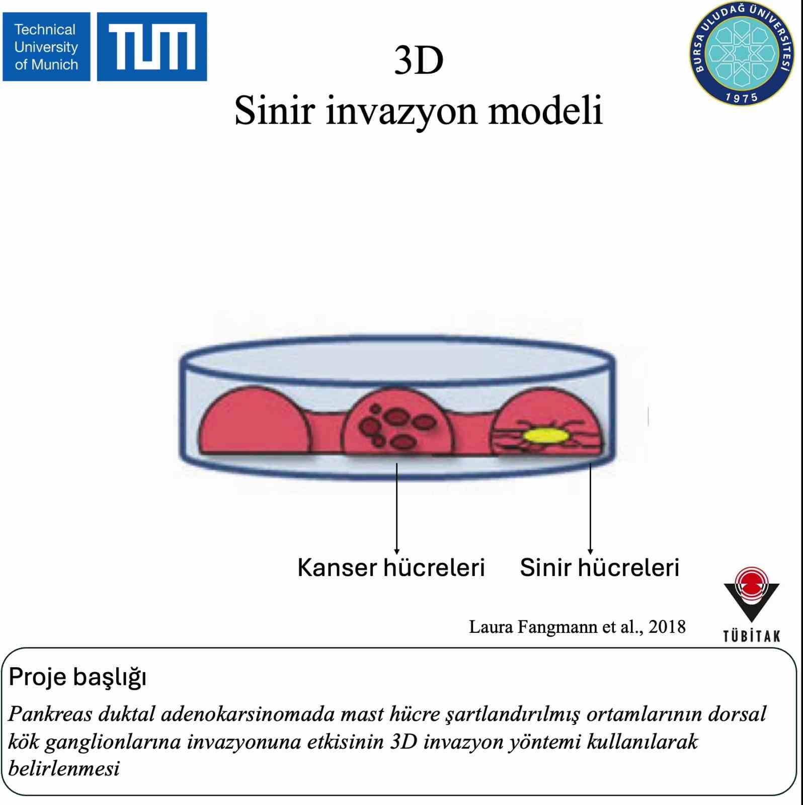 BUÜ’de başlattığı pankreas kanseri projesi Münih Teknik Üniversitesi’nde
