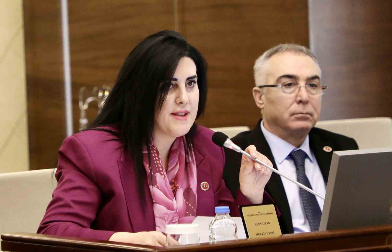 Büyükçekmece Belediye Meclisi Şubat ayı toplantısını gerçekleştirdi
