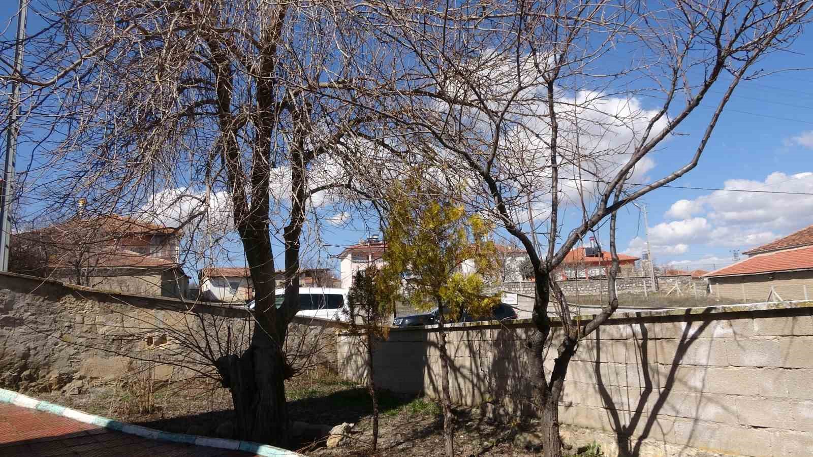 Büyükincirli köyünde incirin yalnızca adı kaldı
