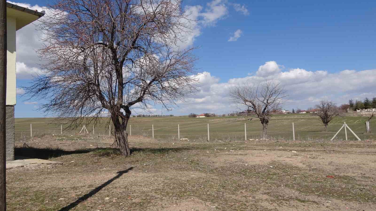 Büyükincirli köyünde incirin yalnızca adı kaldı
