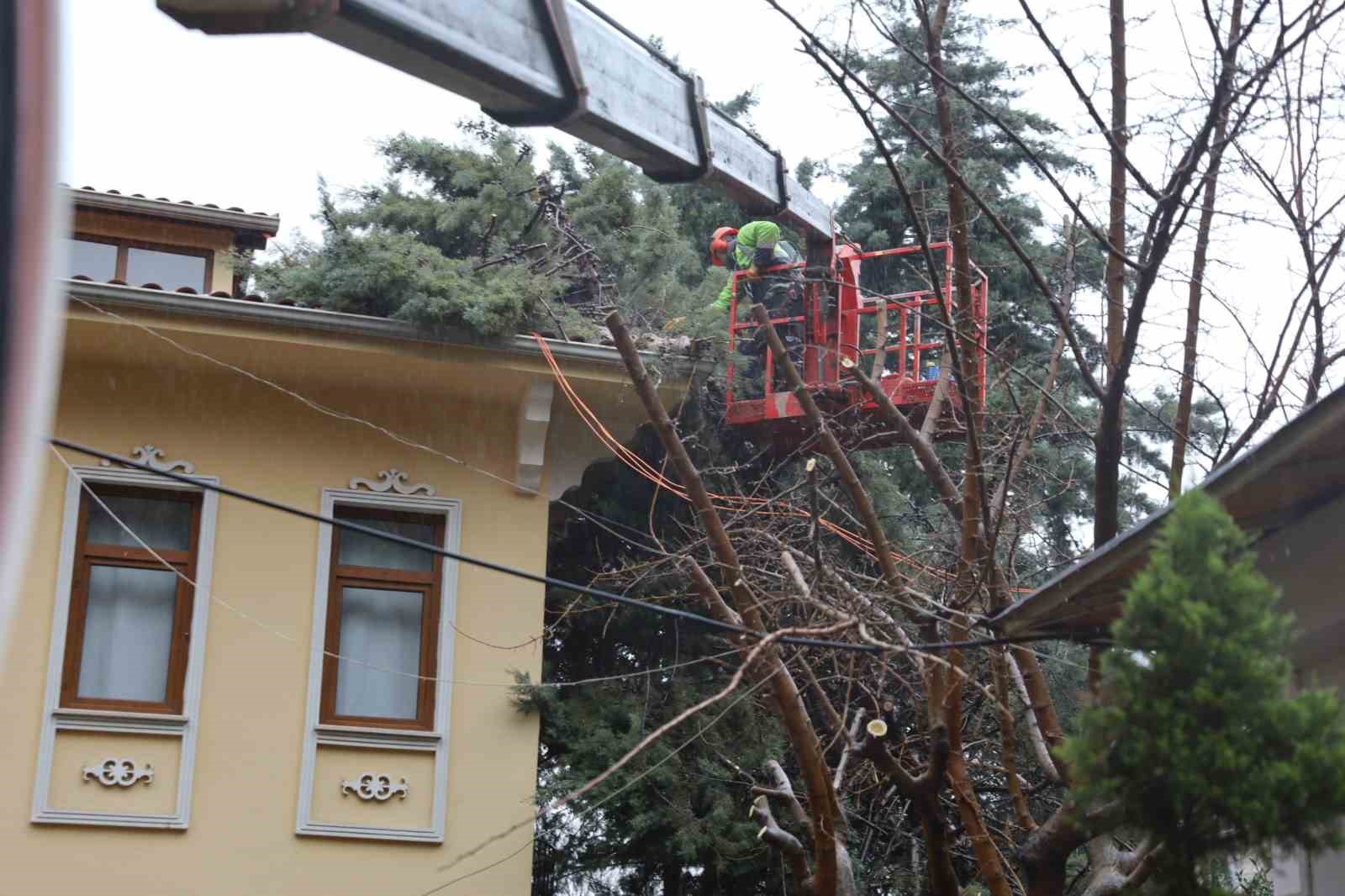 Büyükşehir ekipleri, şiddetli rüzgara karşı sahada
Büyükşehir ekipleri, şiddetli rüzgara karşı sahada