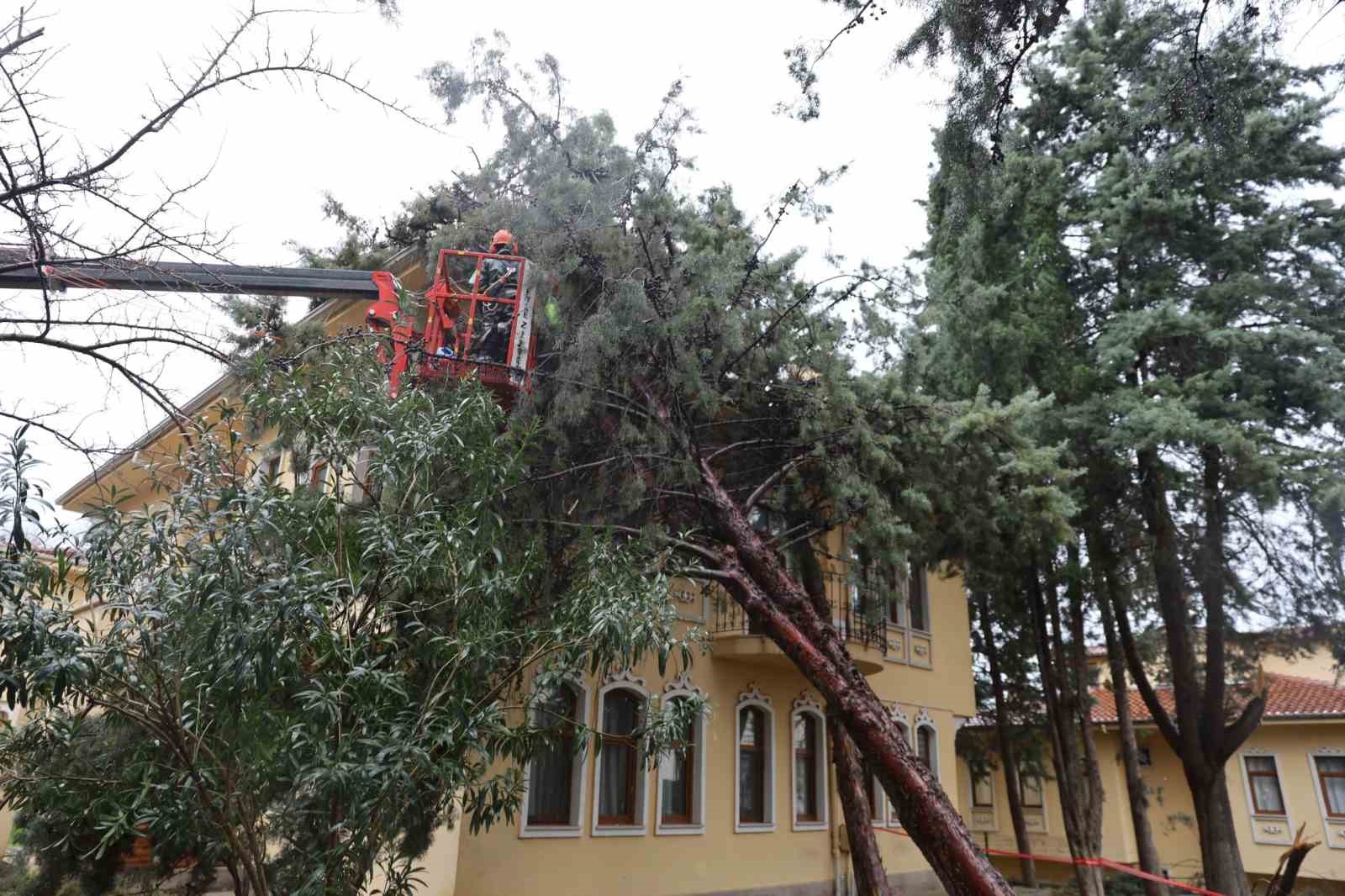 Büyükşehir ekipleri, şiddetli rüzgara karşı sahada
Büyükşehir ekipleri, şiddetli rüzgara karşı sahada
