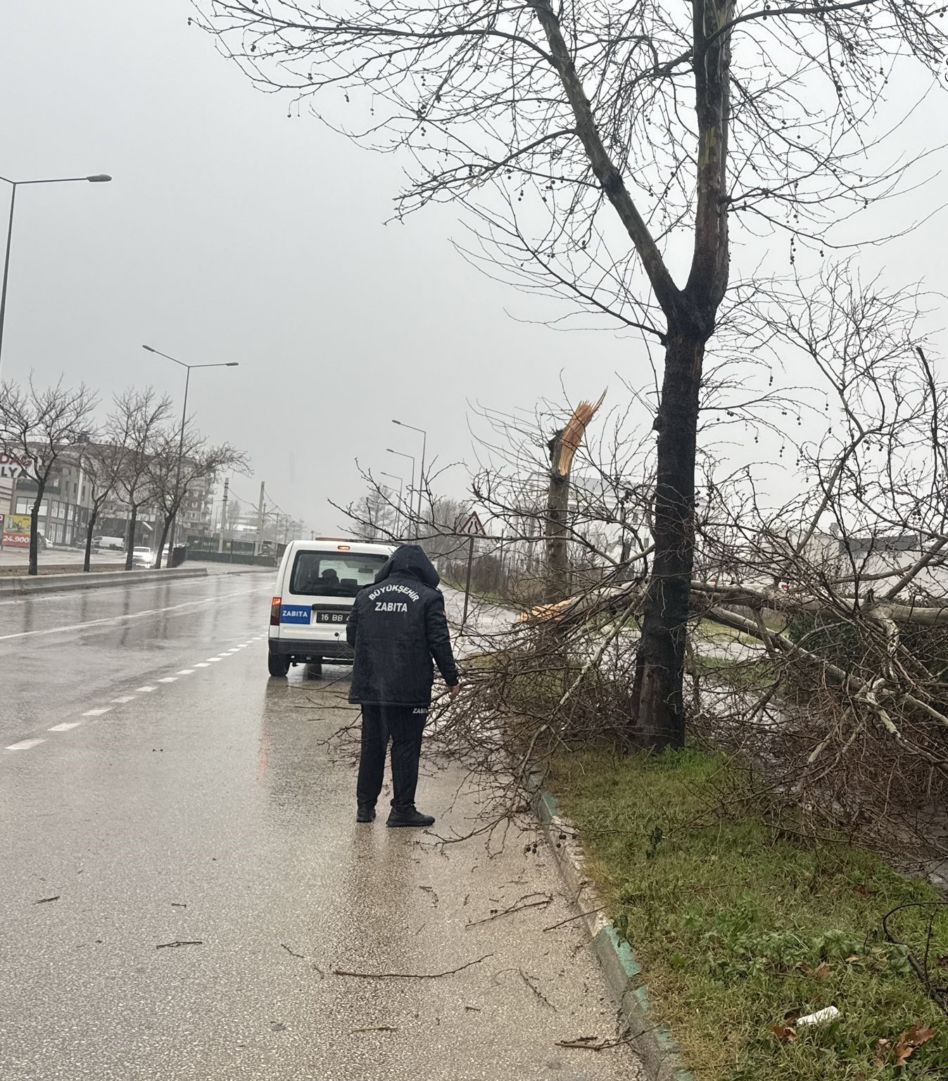 Büyükşehir ekipleri, şiddetli rüzgara karşı sahada
Büyükşehir ekipleri, şiddetli rüzgara karşı sahada