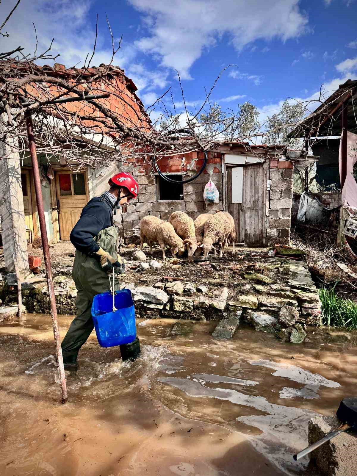 Büyükşehir ekipleri tüm canlılar için aynı özveriyle çalışıyor
