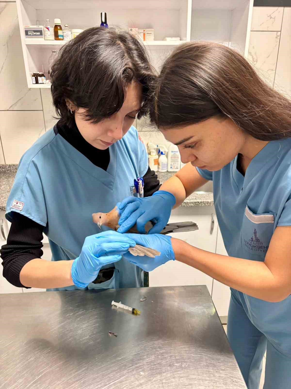 Büyükşehir ekipleri tüm canlılar için aynı özveriyle çalışıyor
