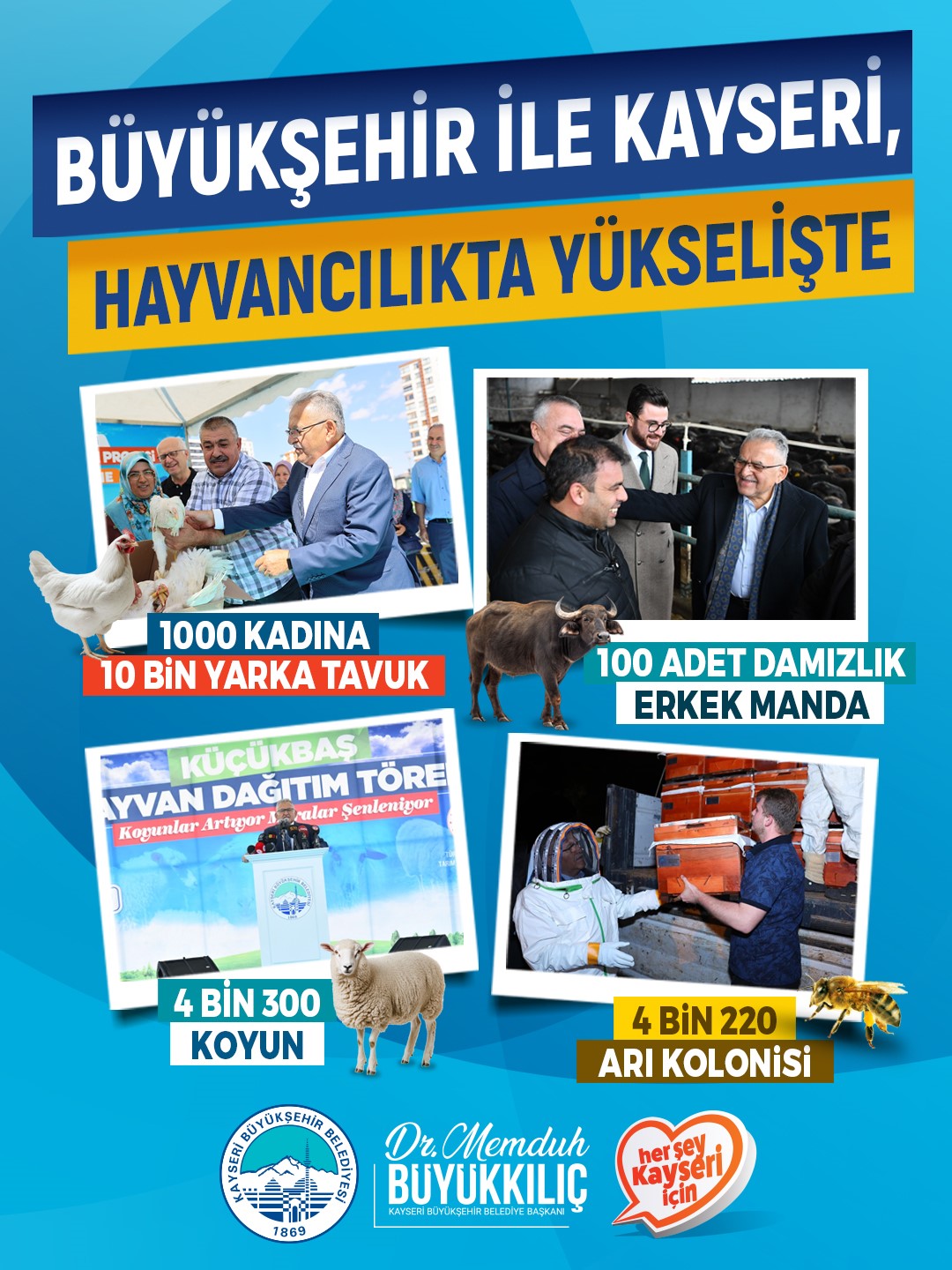Büyükşehir ile Kayseri, hayvancılıkta yükselişte
