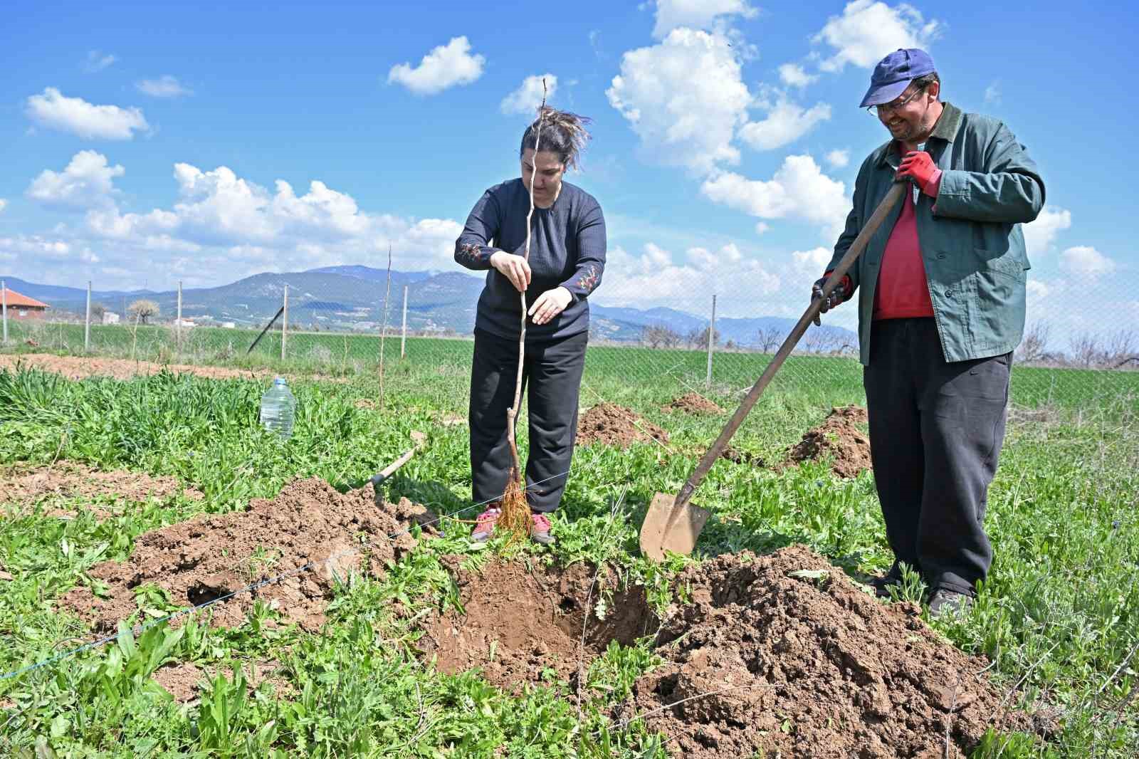Büyükşehir ipek böceği yetiştiriciliğini yaygınlaştırıyor
