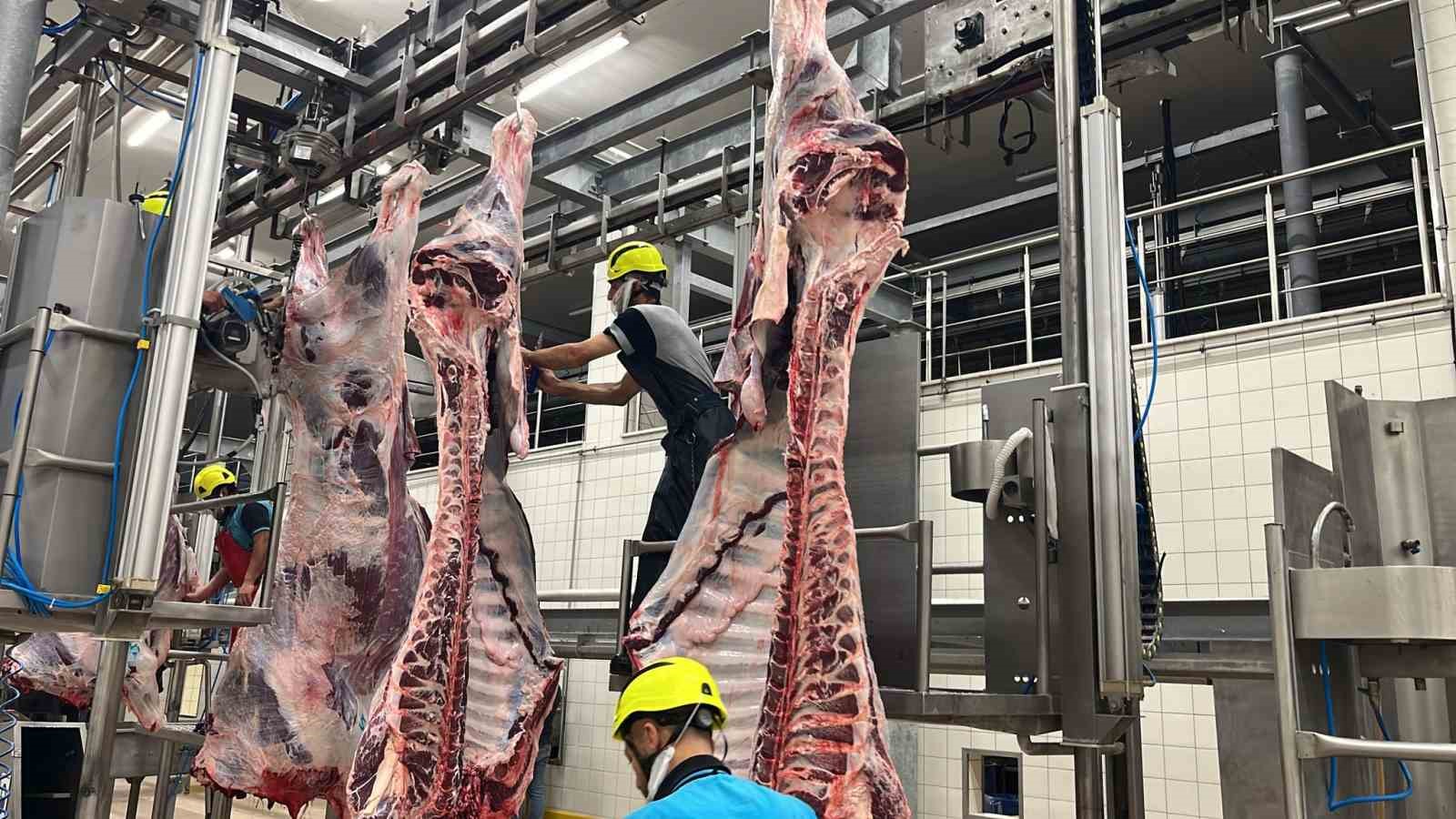 Büyükşehir mezbahasında 6 bin 29 kesim yapıldı
