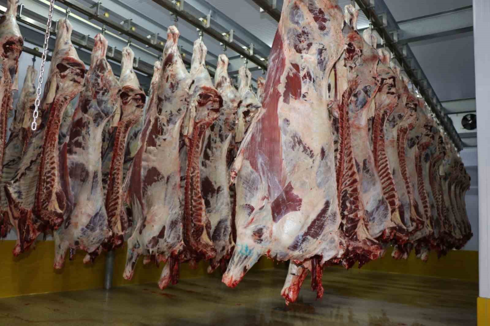 Büyükşehir mezbahasında 6 bin 29 kesim yapıldı
