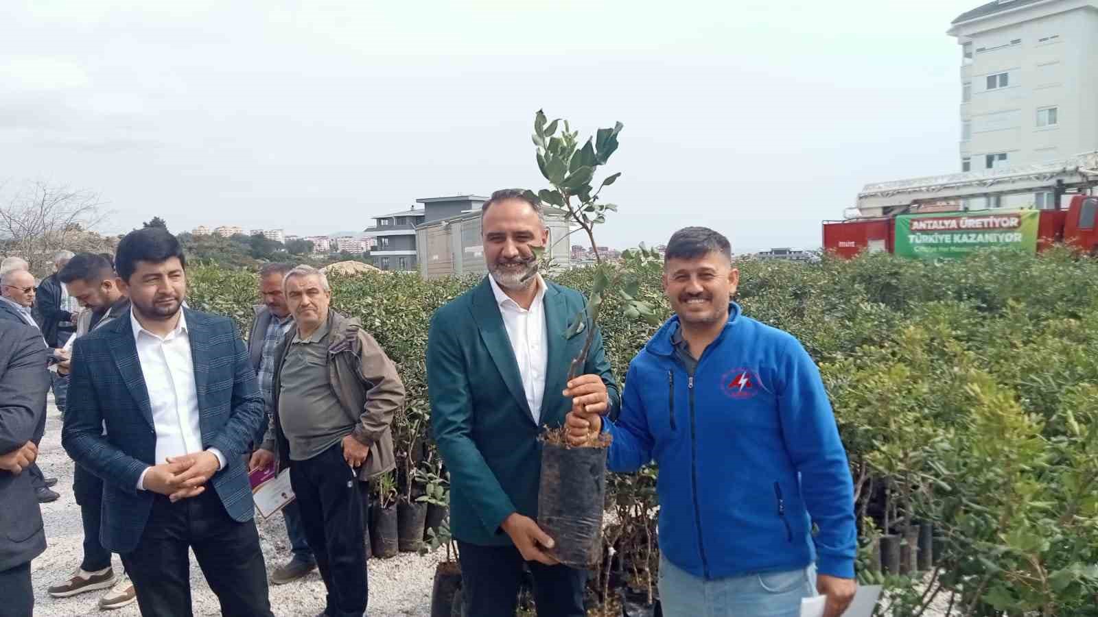 Büyükşehir’den Alanya’nın coğrafi işaretli keçiboynuzuna destek
