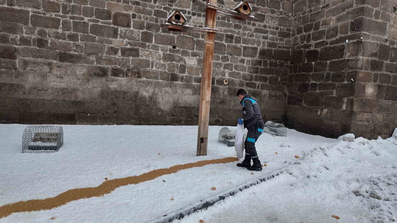 Büyükşehirden ‘dilsiz dostlara’ merhamet eli: Soğuk günlerde sıcak bir dokunuş
Büyükşehirden ‘dilsiz dostlara’ merhamet eli: Soğuk günlerde sıcak bir dokunuş