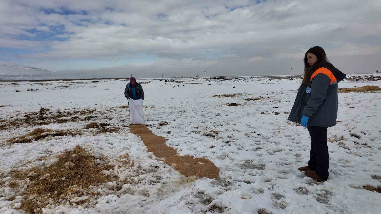 Büyükşehirden ‘dilsiz dostlara’ merhamet eli: Soğuk günlerde sıcak bir dokunuş
Büyükşehirden ‘dilsiz dostlara’ merhamet eli: Soğuk günlerde sıcak bir dokunuş