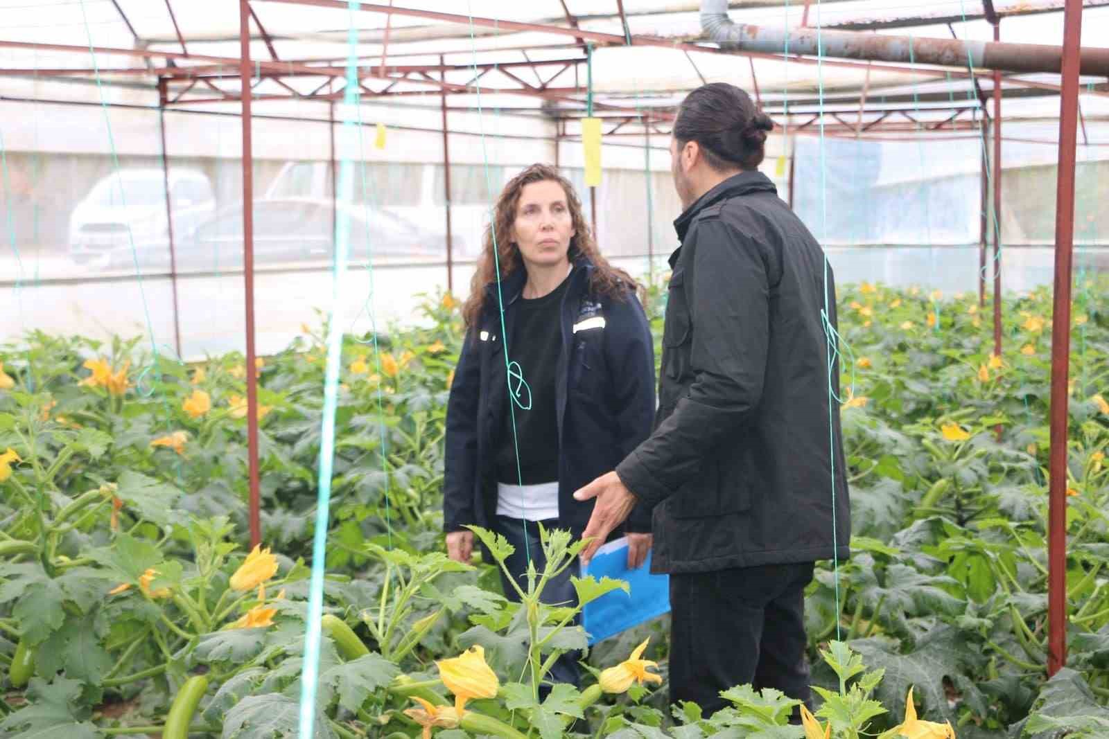 Büyükşehir’den hortum ve fırtınadan zarar gören üreticiye sera naylonu desteği
