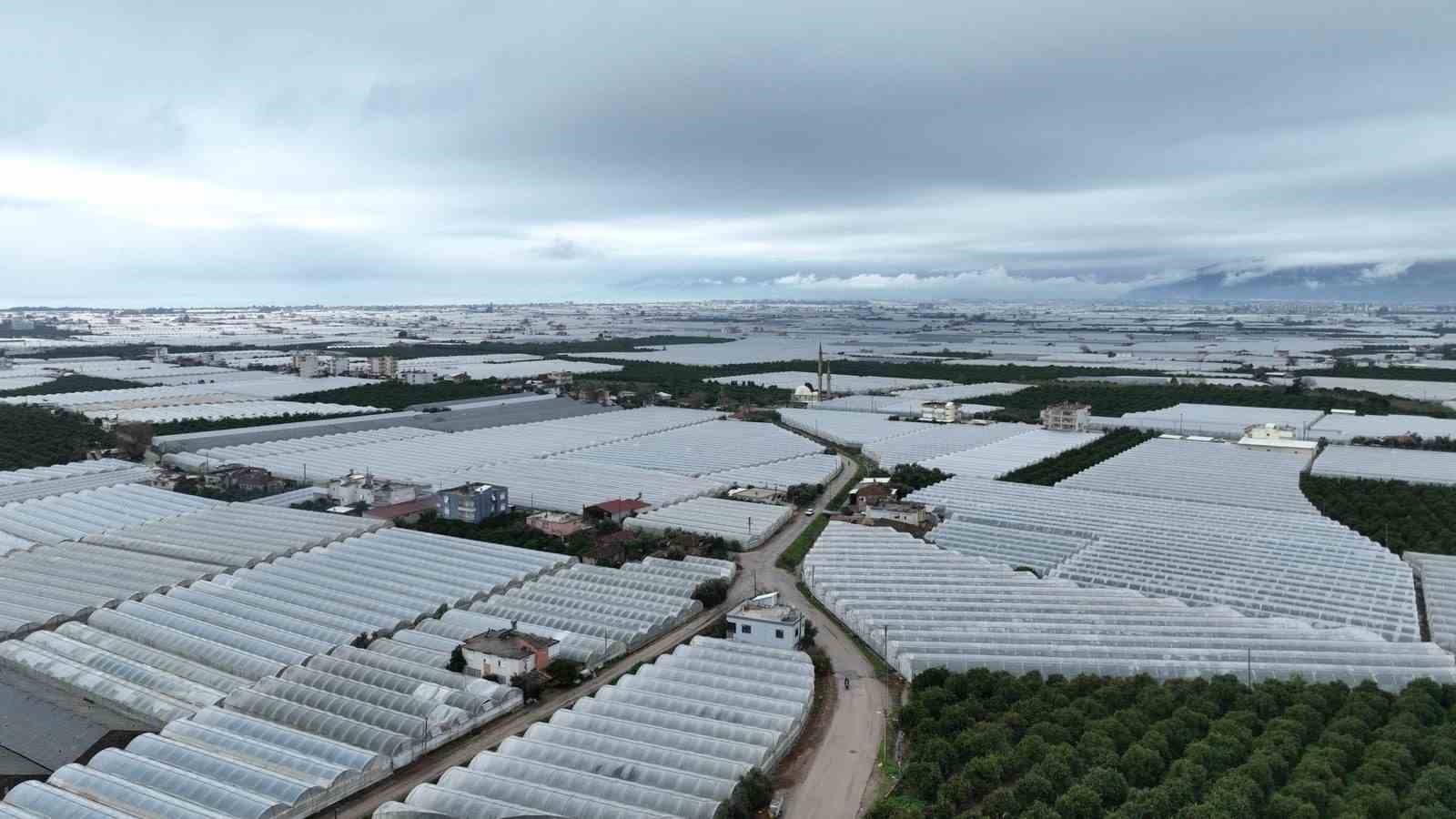Büyükşehir’den hortum ve fırtınadan zarar gören üreticiye sera naylonu desteği
