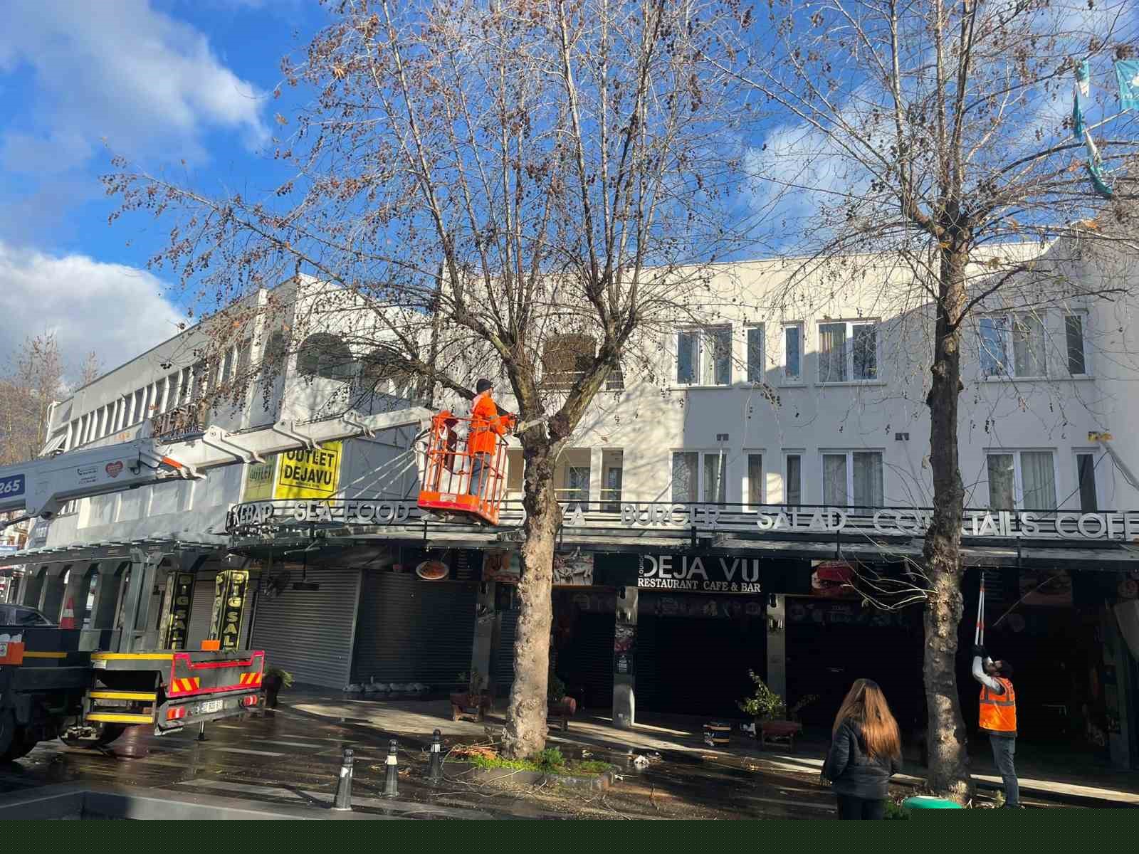 Büyükşehir’den Kemer’de peyzaj düzenlenesi
