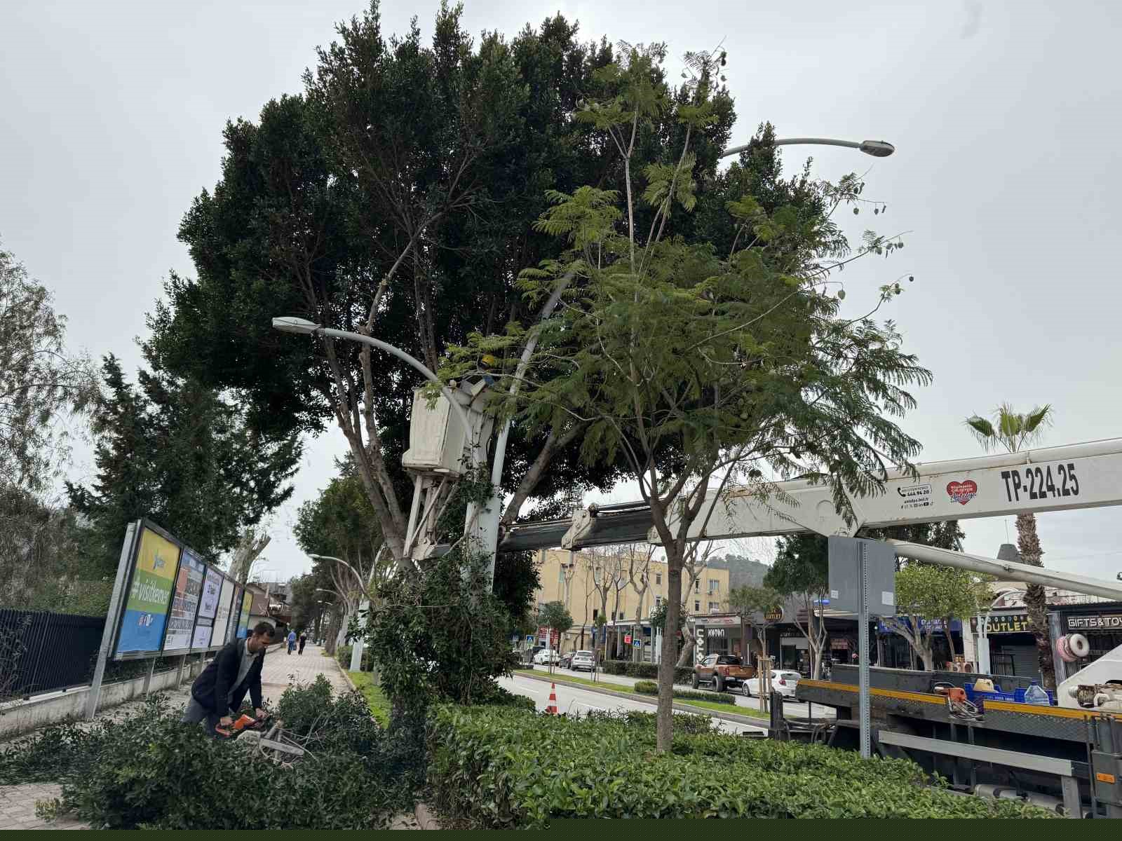 Büyükşehir’den Kemer’de peyzaj düzenlenesi
