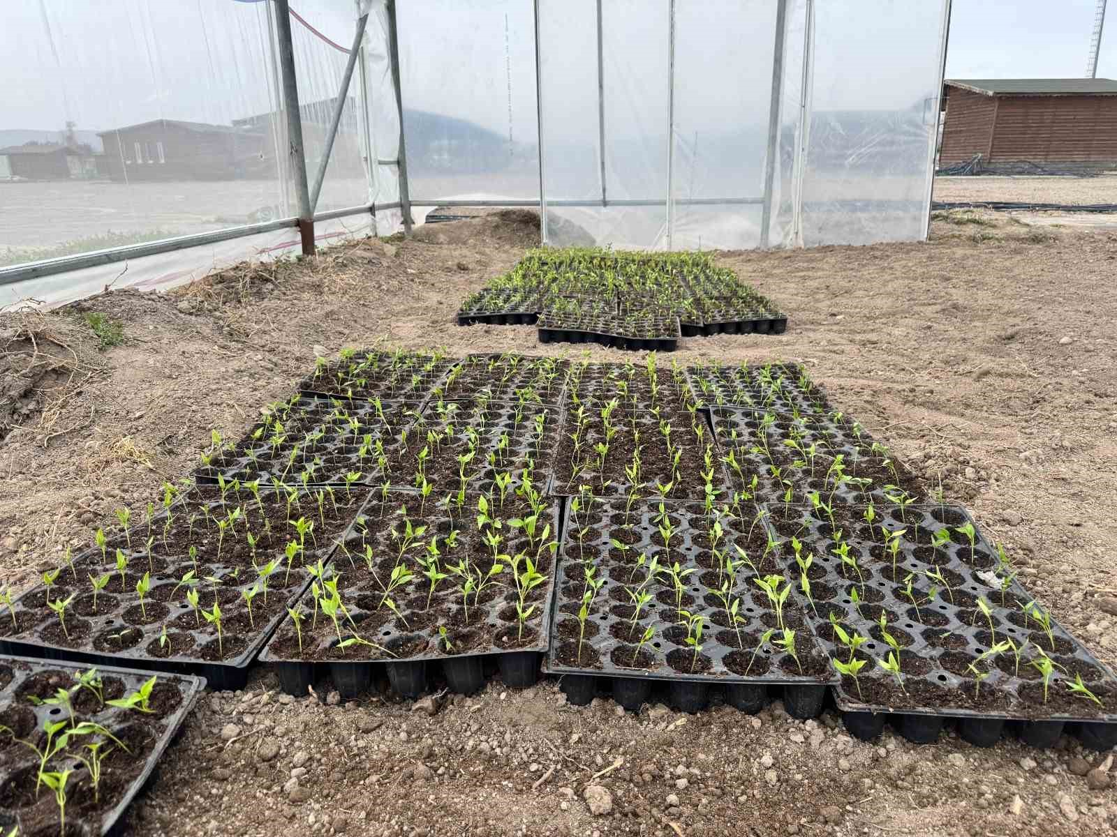 Büyükşehir’den üniversite öğrencilerine uygulamalı organik tarım eğitimi
