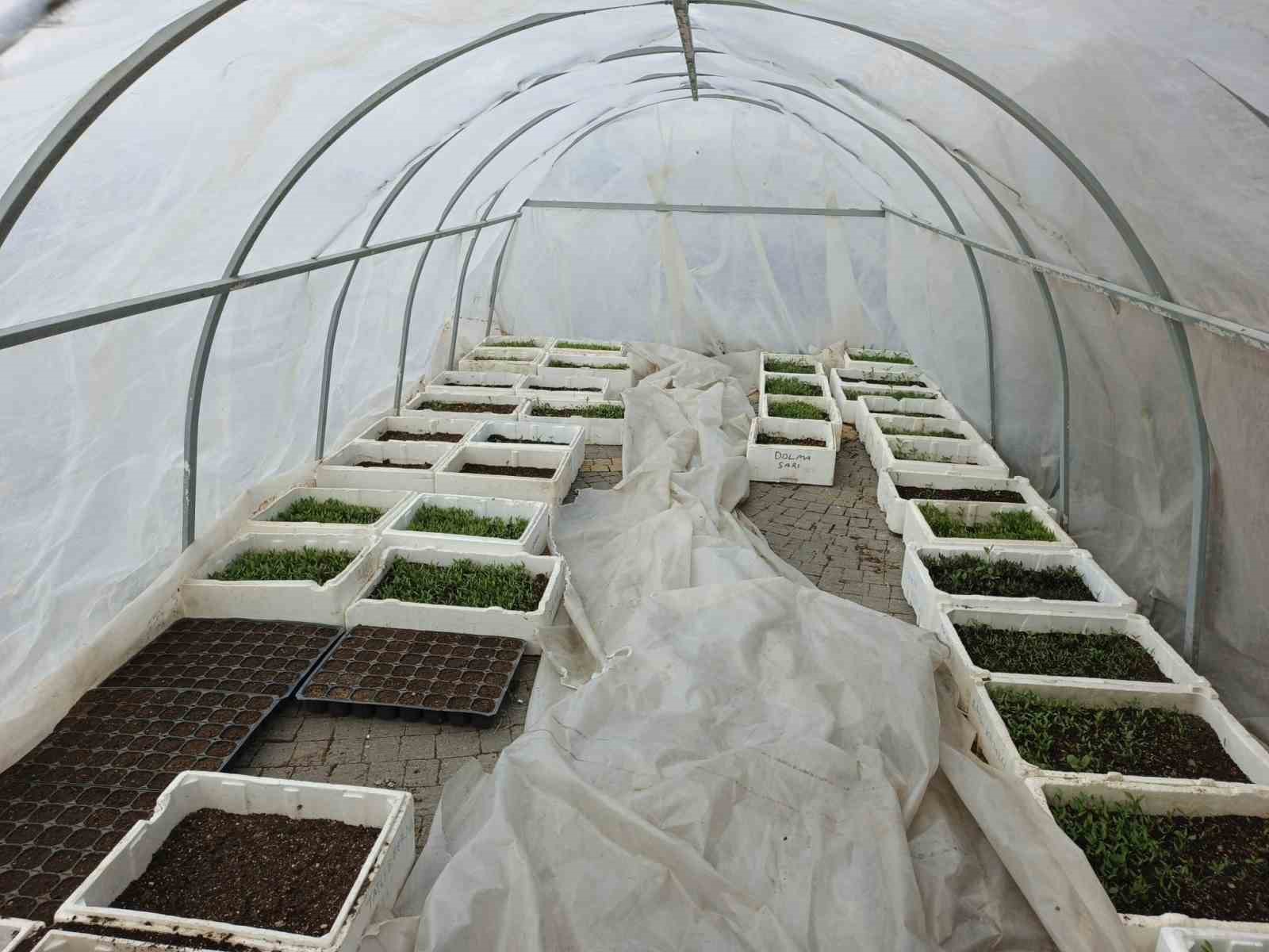 Büyükşehirin Doğal Ürünler Bahçesi ve Pazarı’nda yeni sezon hazırlığı
Büyükşehirin Doğal Ürünler Bahçesi ve Pazarı’nda yeni sezon hazırlığı